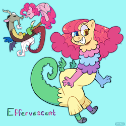 Size: 2048x2048 | Tagged: safe, artist:3ggmilky, discord, pinkie pie, oc, oc:effervescent, draconequus, pony, g4, blue background, draconequus oc, female, high res, interspecies offspring, male, name, offspring, parent:discord, parent:pinkie pie, parents:discopie, ship:discopie, shipping, simple background, straight