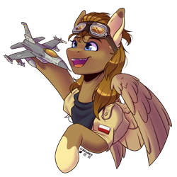 Size: 2000x2000 | Tagged: safe, artist:ak4neh, oc, oc only, oc:feather paw, pegasus, pony, clothes, excited, goggles, high res, jacket, jet, plane, poland, simple background, solo, transparent background