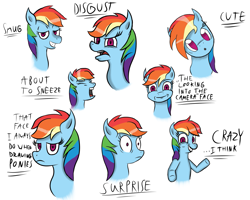Size: 1587x1269 | Tagged: safe, artist:aflurryofdragons, rainbow dash, pegasus, pony, g4, :o, bust, disgusted, expressions, eyes closed, facial expressions, female, front view, frown, grin, head tilt, lidded eyes, looking at you, mare, no pupils, open mouth, portrait, shrunken pupils, simple background, smiling, smug, surprised, text, three quarter view, white background