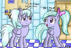Size: 1900x1275 | Tagged: safe, artist:freefraq, cloudchaser, flitter, pegasus, pony, g4, alternate hairstyle, dialogue, duo, duo female, female, folded wings, frown, hooves, indoors, mare, open mouth, open smile, ponytail, siblings, signature, sisters, smiling, standing, tail, twins, wings