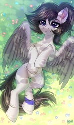 Size: 2300x3888 | Tagged: safe, artist:hakaina, oc, oc only, pegasus, pony, belly, cheek fluff, chest fluff, ear fluff, fluffy, high res, leg fluff, slender, solo, thin, wing fluff, wings