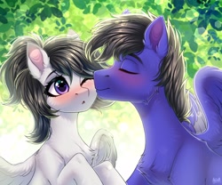 Size: 4000x3333 | Tagged: safe, artist:hakaina, oc, oc only, pegasus, pony, duo