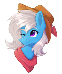 Size: 1869x2220 | Tagged: safe, artist:lambydwight, oc, oc only, oc:quiver, pony, bust, cowboy hat, hat, portrait, simple background, solo, white background