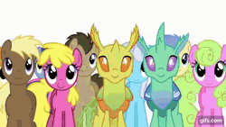 Size: 640x360 | Tagged: safe, screencap, blues, carrot top, cherry berry, clypeus, coco crusoe, daisy, discord, doctor whooves, flower wishes, golden harvest, goldengrape, linky, noteworthy, shoeshine, sir colton vines iii, soupling, time turner, changeling, draconequus, earth pony, pegasus, pony, celestial advice, g4, season 7, animated, cheering, cute, discute, eyes closed, female, foam finger, gif, gifs.com, hype, male, mare, number one, open mouth, open smile, smiling, stallion, twilight's castle
