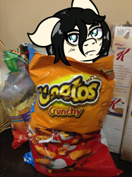 Size: 748x1000 | Tagged: safe, artist:lazerblues, oc, oc only, oc:floor bored, earth pony, pony, bag, cheetos, irl, looking at you, photo, ponies in real life, ponified animal photo, solo