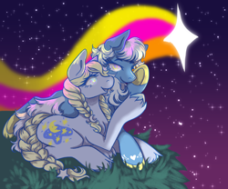 Size: 1280x1067 | Tagged: safe, artist:anyponyrequests, moondancer (g3), starbeam, earth pony, pony, g3, g4, braided pigtails, braided tail, bright, colorful, cute, duo, female, frog (hoof), g3 adorabeam, g3 dancerbetes, g3 to g4, generation leap, grin, heart, hoof heart, mare, night, shooting star, sitting, smiling, stars, tail, underhoof, unshorn fetlocks