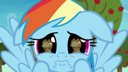 Size: 1280x720 | Tagged: safe, screencap, applejack, rainbow dash, earth pony, pegasus, pony, g4, grannies gone wild, season 8, anime eyes, applejack is not amused, close-up, cute, daaaaaaaaaaaw, dashabetes, dilated pupils, duo, duo female, eye reflection, female, front view, hnnng, hoof on cheek, mare, offscreen character, pouting, pov, puppy dog eyes, rainbow dash is best facemaker, reflection, sad, sadorable, spread wings, unamused, weapons-grade cute, wings
