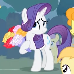 Size: 543x543 | Tagged: safe, screencap, alula, carrot top, golden harvest, noi, pluto, rarity, truffle shuffle, earth pony, pegasus, pony, unicorn, g4, season 4, simple ways, bouquet, bouquet of flowers, cropped, crowd, cute, flattered, flower, offscreen character, raribetes, smiling