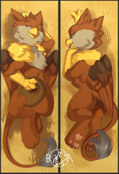 Size: 628x920 | Tagged: safe, artist:beardie, oc, oc only, oc:peregrine, griffon, chest fluff, cute, paw pads, paws