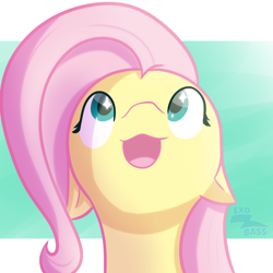Size: 1000x1000 | Tagged: safe, artist:exobass, fluttershy, pony, g4, :3, bust, expression, female, hopeful, looking up, open mouth, open smile, smiling, solo, sparkly eyes, wingding eyes