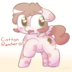 Size: 2000x2000 | Tagged: safe, artist:cushyhoof, oc, oc only, oc:cotton rancher, pegasus, pony, blushing, coat markings, cute, embarrassed, gradient background, high res, male, open mouth, shy, solo, spread wings, stallion, text, wings