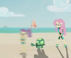 Size: 438x359 | Tagged: safe, screencap, fluttershy, lily pad (g4), tank, human, tortoise, aww... baby turtles, equestria girls, g4, my little pony equestria girls: better together, beach, clothes, cropped, fluttershy's wetsuit, motion blur, sandals, swimsuit, wetsuit