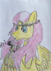 Size: 2672x3738 | Tagged: safe, fluttershy, pegasus, pony, g4, blowing, cute, daisy (flower), dandelion, female, floral head wreath, flower, high res, hoof hold, mare, messy mane, simple background, traditional art, white background