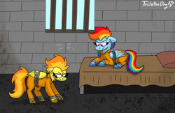 Size: 1280x829 | Tagged: safe, artist:teslathedog, rainbow dash, spitfire, pegasus, pony, g4, bed, bound wings, chains, clothes, commission, commissioner:rainbowdash69, cuffed, cuffs, duo, jail, lying down, never doubt rainbowdash69's involvement, on bed, prison, prison outfit, prisoner, prisoner rd, prone, shackles, tally marks, unshorn fetlocks, wings