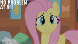 Size: 1280x720 | Tagged: safe, edit, edited screencap, editor:quoterific, screencap, angel bunny, fluttershy, pegasus, pony, rabbit, g4, season 1, stare master, animal, duo, eyes closed, female, fluttershy's cottage, male, mare, night, sleeping, smiling, text