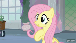 Size: 640x360 | Tagged: safe, screencap, fluttershy, spike, dragon, pegasus, pony, g4, non-compete clause, season 8, animated, camera, duo, eyes closed, female, gif, gifs.com, male, mare, open mouth, school of friendship, spread wings, wings