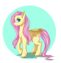 Size: 900x924 | Tagged: safe, artist:snowy-weather, fluttershy, pegasus, pony, g4, aside glance, chest fluff, circle background, ear fluff, elbow fluff, female, folded wings, hoof fluff, looking at you, mare, partial background, raised hoof, smiling, solo, standing, unshorn fetlocks, wings