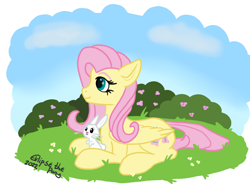 Size: 800x600 | Tagged: safe, artist:eklipsethepony, angel bunny, fluttershy, pegasus, pony, rabbit, g4, animal, bush, duo, female, flower, fluttershy day, folded wings, grass, looking away, lying down, mare, outdoors, profile, prone, wings