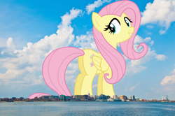 Size: 1920x1275 | Tagged: safe, artist:cloudy glow, artist:thegiantponyfan, fluttershy, pegasus, pony, g4, butt, female, flutterbutt, flutterbutter, folded wings, giant pegasus, giant pony, giantess, giantshy, grin, highrise ponies, irl, looking at you, macro, madison, mare, mega giant, photo, plot, ponies in real life, smiling, wings, wisconsin