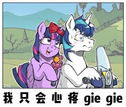 Size: 1300x1100 | Tagged: safe, artist:z-y-c, shining armor, twilight sparkle, alicorn, pony, unicorn, g4, bow, candy, chinese, chinese meme, food, horn, horn bow, lollipop, meme, microphone, motorcycle