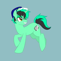 Size: 2000x2000 | Tagged: safe, artist:mediocremare, oc, pony, unicorn, cap, hat, high res, male, simple background, solo, stallion