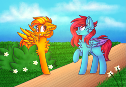 Size: 967x671 | Tagged: safe, artist:tater, oc, oc only, oc:cyan, oc:fire crackle, pegasus, pony, bush, cheek fluff, chest fluff, duo, ear fluff, female, flower, folded wings, looking at each other, looking at someone, mare, raised hoof, wings