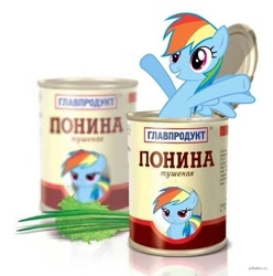Size: 583x588 | Tagged: artist needed, safe, rainbow dash, pegasus, pony, g4, canned food, cyrillic, food, horse meat, meat, russian, simple background, solo, translated in the comments, white background