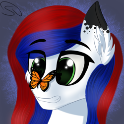 Size: 1000x1000 | Tagged: safe, artist:stravy_vox, oc, oc only, butterfly, pony, bust, female, gritted teeth, teeth