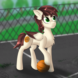 Size: 3000x3000 | Tagged: safe, artist:stravy_vox, oc, oc only, pegasus, pony, basketball, chest fluff, high res, male, pegasus oc, sports