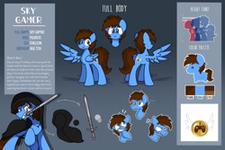 Size: 2048x1365 | Tagged: safe, oc, oc:pegasusgamer, pegasus, pony, cloak, clothes, emotes, pegasus oc, reference sheet, solo, spread wings, sword, weapon, wings