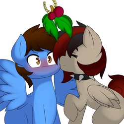 Size: 800x800 | Tagged: safe, artist:caoscore, oc, oc only, oc:pegasusgamer, pegasus, pony, blushing, commission, folded wings, holly, holly mistaken for mistletoe, kissing, pegasus oc, simple background, spread wings, white background, wings, ych result