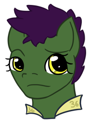 Size: 607x794 | Tagged: safe, artist:hiddenfaithy, oc, oc only, oc:grease, earth pony, pony, fallout equestria, fallout equestria: uncertain ties, bust, old art, portrait, simple background, solo, transparent background