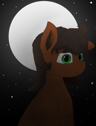 Size: 1080x1420 | Tagged: safe, artist:puginpocket, oc, oc:scarfy bat-heart, earth pony, pony, brown mane, bust, ear fluff, earth pony oc, female, green eyes, looking at you, mare, moon, night, night sky, one ear down, sky, smiling, smiling at you, stars