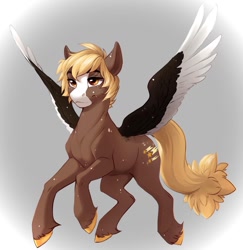 Size: 1440x1481 | Tagged: safe, artist:silentwulv, oc, oc only, pegasus, pony, abstract background, bald face, blaze (coat marking), blonde mane, blonde tail, body freckles, coat markings, colored hooves, colored wings, facial markings, floating, freckles, male, pegasus oc, short mane, solo, spread wings, stallion, tail, two toned wings, unshorn fetlocks, wings