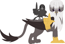Size: 3550x2432 | Tagged: safe, artist:porygon2z, oc, oc only, oc:raiza, bird, crow, griffon, female, frown, glare, high res, looking at you, simple background, solo, transparent background