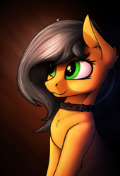 Size: 973x1433 | Tagged: safe, artist:dipfanken, oc, oc only, earth pony, pony, solo