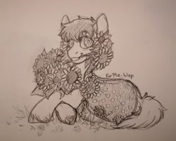 Size: 640x515 | Tagged: safe, artist:purple-blep, oc, oc:thursday, earth pony, pony, female, flower, flower in hair, flower in mouth, mare, mouth hold, simple background, sketch, solo, sunflower, traditional art, unshorn fetlocks, weekday ponies, white background, wingding eyes