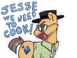 Size: 810x607 | Tagged: safe, artist:pix3lcats, heisenbuck, earth pony, pony, g4, beard, breaking bad, clothes, crossover, drugs, facial hair, glasses, hat, heisenberg, male, meme, meth, ponified, stallion, text, walter white