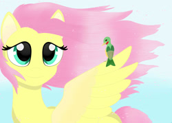 Size: 1800x1290 | Tagged: safe, artist:sashamoon0567, fluttershy, bird, pegasus, pony, g4, bust, colored wings, female, looking at someone, mare, one wing out, sitting on wing, smiling, solo, turned head, two toned wings, windswept mane, wings
