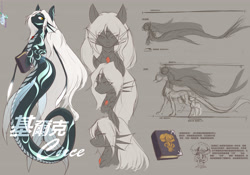 Size: 5000x3508 | Tagged: safe, artist:龙宠, oc, oc only, oc:circle, siren, absurd resolution, book, chinese, female, macro, reference sheet, seapony oc, solo