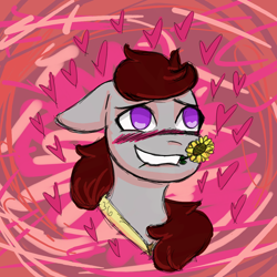 Size: 1100x1100 | Tagged: safe, artist:hiddenfaithy, oc, oc only, oc:skyfire lumia, pegasus, pony, fallout equestria, fallout equestria: uncertain ties, blushing, ears back, flower, heart, hearts and hooves day, old art, sketch