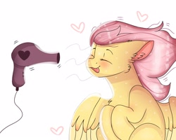 Size: 2500x2000 | Tagged: safe, artist:valkiria, fluttershy, pegasus, pony, g4, blushing, cute, eyes closed, female, hair dryer, heart, high res, mare, open mouth, shyabetes, solo, tongue out