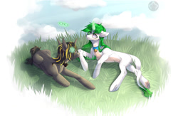 Size: 1280x835 | Tagged: safe, artist:meggychocolatka, oc, oc only, pony, belly, butt, concave belly, duo, outdoors, plot, slender, thin, underhoof