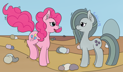 Size: 1280x745 | Tagged: safe, artist:subleni, marble pie, pinkie pie, g4, pebbles, rock, stone