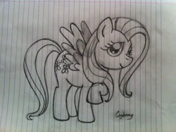 Size: 1024x765 | Tagged: safe, artist:thebrokencog, fluttershy, pegasus, pony, g4, lined paper, sketch, solo, traditional art