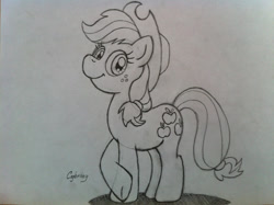 Size: 1024x765 | Tagged: safe, artist:thebrokencog, applejack, earth pony, pony, g4, female, sketch, solo, traditional art