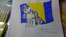 Size: 604x339 | Tagged: artist needed, safe, oc, pony, bosnia and herzegovina, nation ponies, ponified, solo, traditional art