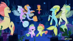 Size: 640x360 | Tagged: safe, screencap, aestuarium, bubblebrine, coral sunburst, ocean mist, orchid breeze, poppy seagrass, scootaloo, wind storm, classical hippogriff, hippogriff, pegasus, pony, seapony (g4), g4, season 8, surf and/or turf, ^^, animated, blinking, bubble, colored pupils, colored wings, coral, cute, cutealoo, dancing, dorsal fin, eyes closed, female, filly, fin, fin wings, fins, fish tail, floppy ears, flowing mane, flowing tail, foal, gif, gifs.com, happy, jewelry, looking at each other, looking at someone, male, mare, necklace, ocean, open mouth, open smile, seaponified, seapony scootaloo, seaquestria, seashell, seaweed, smiling, smiling at each other, species swap, spread wings, tail, underwater, water, wings