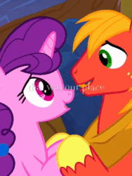 Size: 1080x1440 | Tagged: safe, edit, edited screencap, screencap, big macintosh, bright mac, pear butter, sugar belle, earth pony, pony, unicorn, g4, season 7, season 9, the big mac question, the perfect pear, animated, boots, cowboy boots, eyes closed, female, flower, flower in hair, male, mare, open mouth, open smile, shoes, size difference, smiling, sound, stallion, text, tiktok, webm