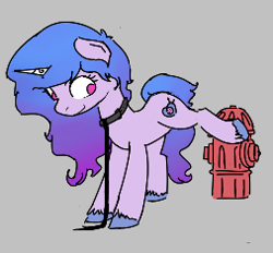 Size: 253x235 | Tagged: safe, artist:alexi148, izzy moonbow, pony, unicorn, g5, aggie.io, behaving like a dog, female, fire hydrant, imminent pissing, implied urine, leash, mare, picture for breezies, pony pet, raised hoof, solo